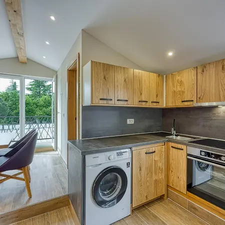 Viktor Katoro Guest house Umag